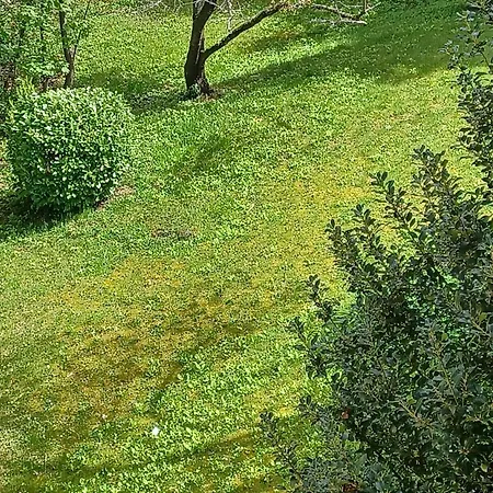 Apartment M Proche Des Thermes De Royat A Pieds